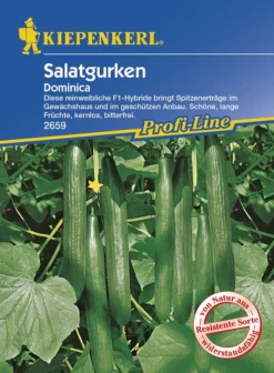 Salatgurke Dominica F1 | Salatgurkensamen Von Kiepenkerl
