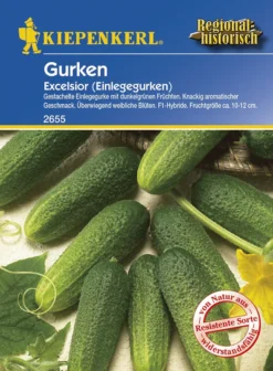Einlegegurke Excelsior F1 | Einlegegurkensamen Von Kiepenkerl
