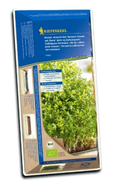 Anzuchtset Kresse | Keimsprossen Von Kiepenkerl