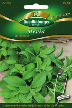 Stevia Süßkraut | Steviasamen Von Quedlinburger