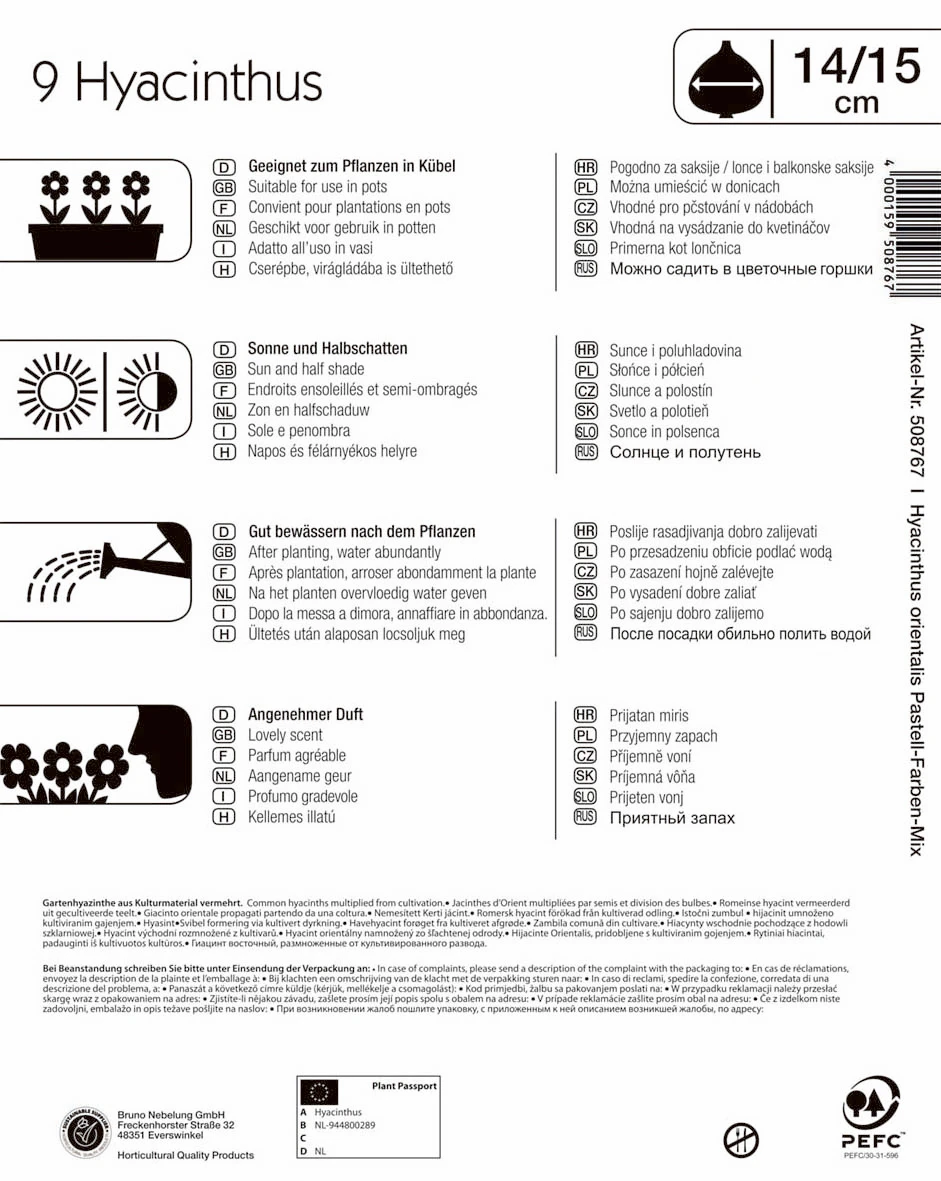 Mega-Pack Hyazinthe Pastell Mischung (9 Stück) | Hyazinthenzwiebeln Von Kiepenkerl 2 Mega-Pack Hyazinthe Pastell Mischung (9 Stück) | Hyazinthenzwiebeln Von Kiepenkerl – Bild 2
