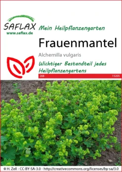 Frauenmantel | Heilpflanzensamen Von Saflax