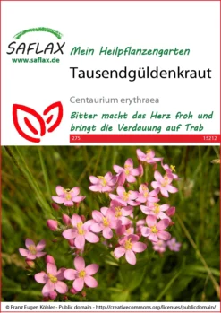 Tausendgüldenkraut | Heilpflanzensamen Von Saflax