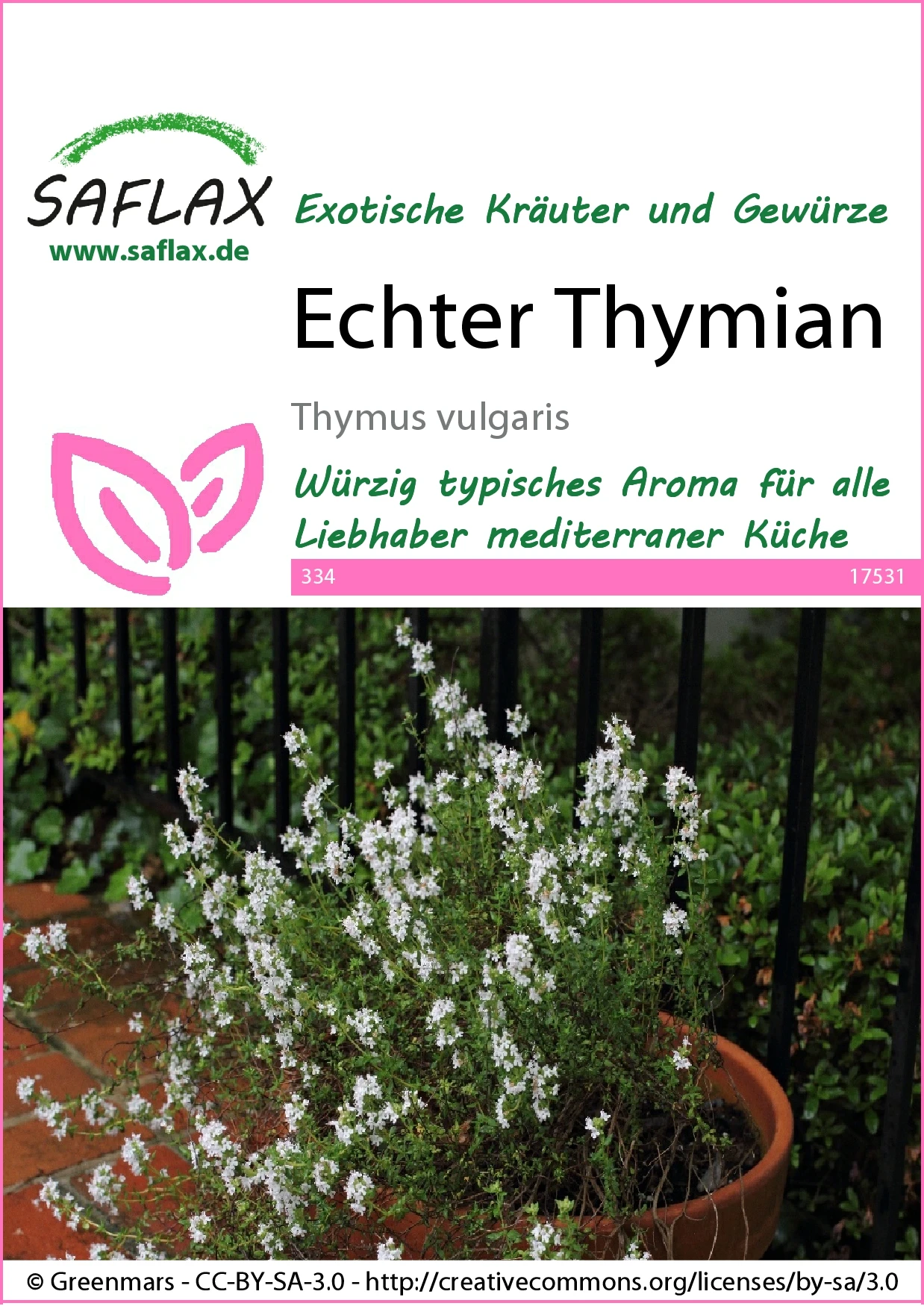 Echter Thymian | Thymiansamen Von Saflax 2 Echter Thymian | Thymiansamen Von Saflax – Bild 2