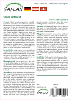 Süßkraut Stevia | Steviasamen Von Saflax