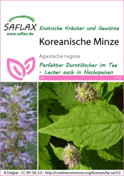 Koreanische Minze | Minzesamen Von Saflax
