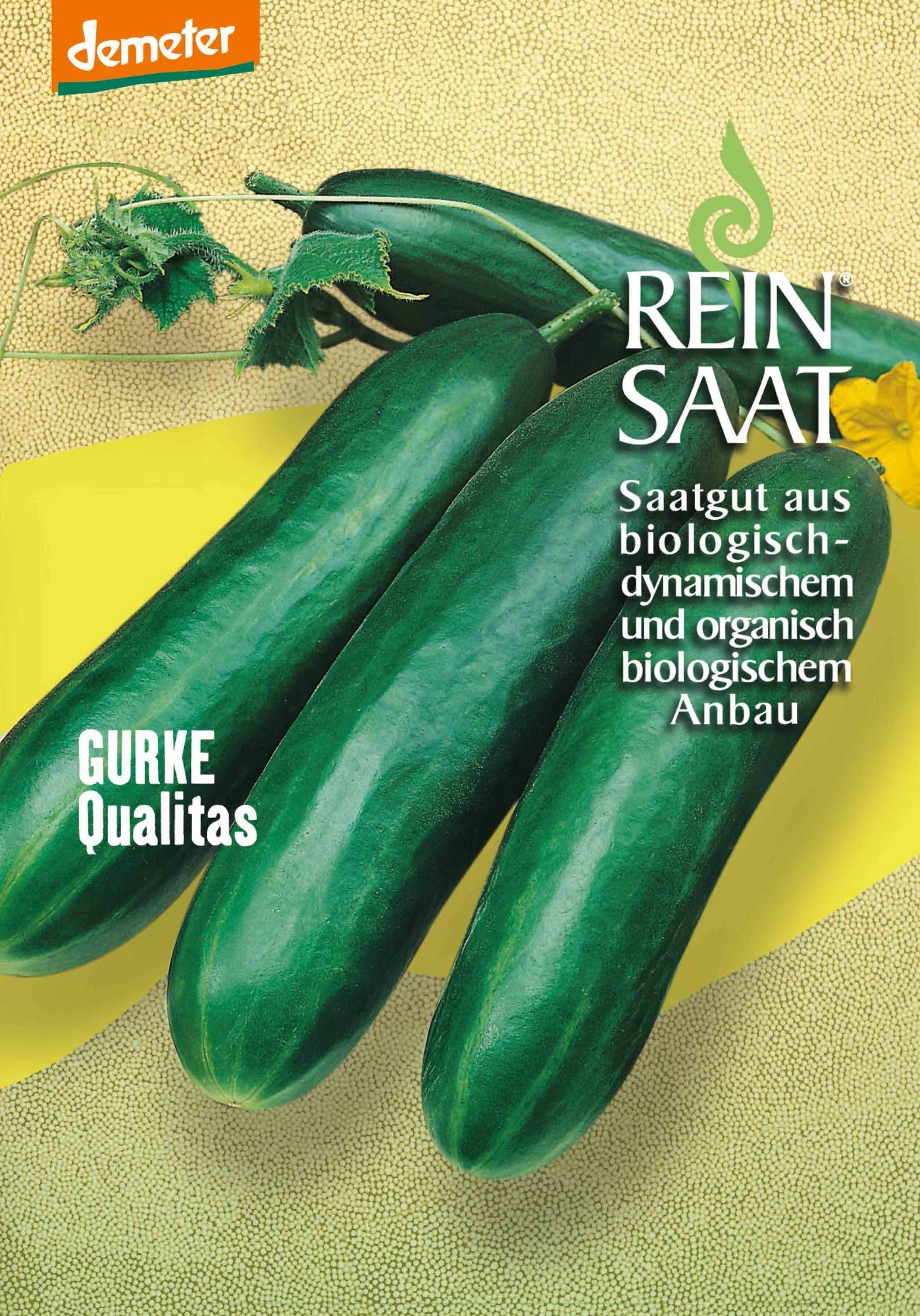Salatgurke Qualitas | BIO Salatgurkensamen Von Reinsaat 1 Salatgurke Qualitas | BIO Salatgurkensamen Von Reinsaat