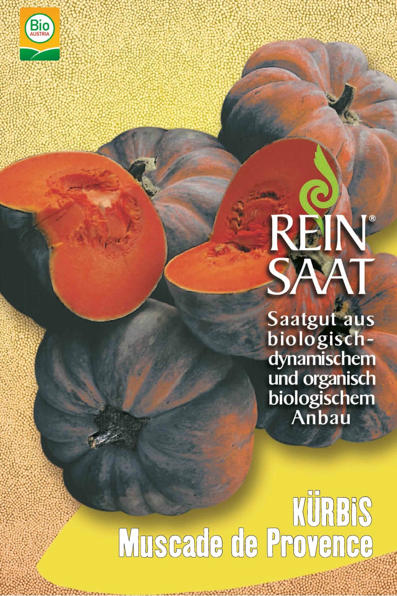 Kürbis Muscade De Provence | BIO Kürbissamen Von Reinsaat 1 Kürbis Muscade De Provence | BIO Kürbissamen Von Reinsaat