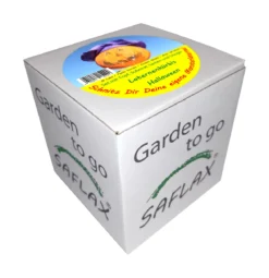 Jack O'Lantern Halloween Kürbis | Kürbissamen Von Saflax [MHD 09/2023] -Blüte Und Blatt 536696 Laternenkuerbis 19229 sa 0