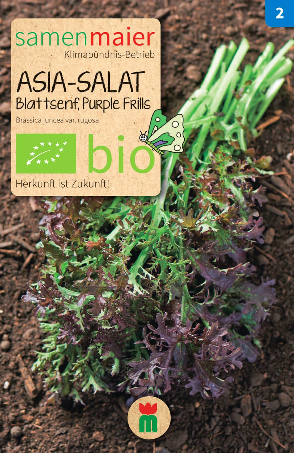 Beet-Box "Für Die Gartenfee" | BIO Gemüsesamen-Sets Von Samen Maier 4 Beet-Box "Für Die Gartenfee" | BIO Gemüsesamen-Sets Von Samen Maier – Bild 4