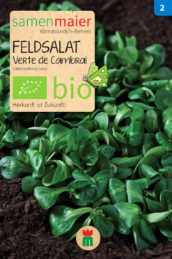 Beet-Box &quot;Für Smoothie-Maker&quot; | BIO Gemüsesamen-Sets Von Samen Maier -Blüte Und Blatt 536710 BIO Beet Box Fuer Smoothie Maker BB12 sm 1