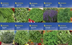 Kräuter - Saat - Sortiment Mit 10 Sorten | Kräutersamen-Sets Von Kiepenkerl