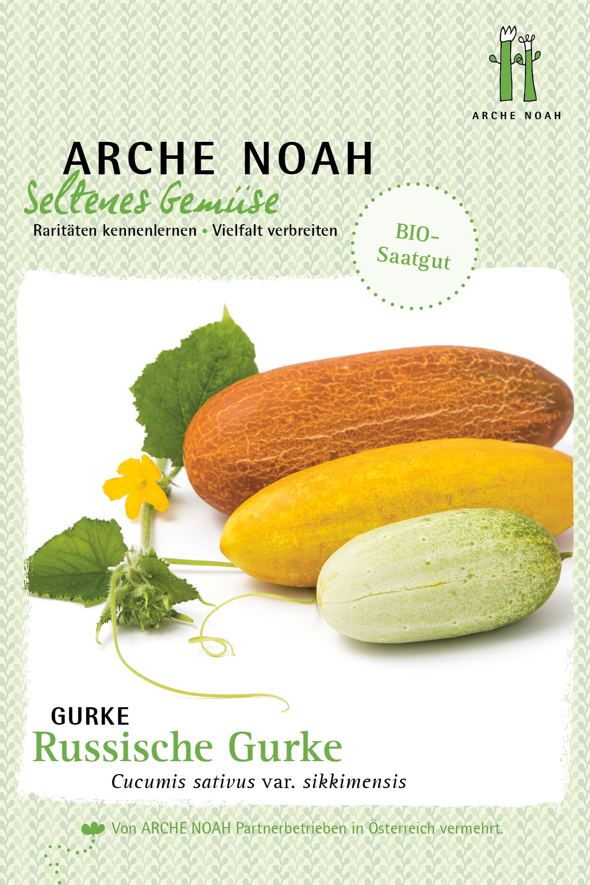 Gurke Russkaja | BIO Gurkensamen Von Arche Noah 1 Gurke Russkaja | BIO Gurkensamen Von Arche Noah