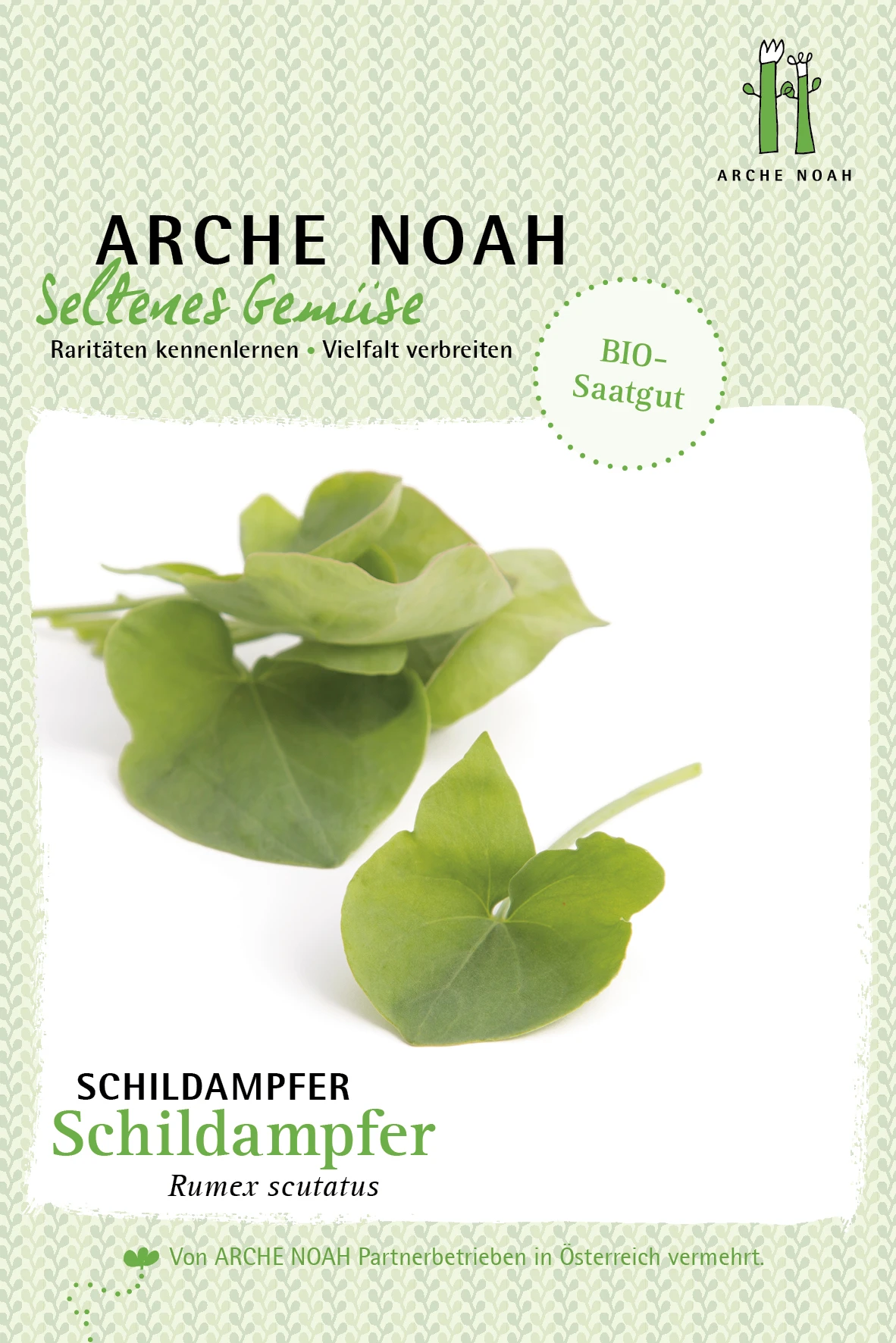 Schildampfer | BIO Schildampfersamen Von Arche Noah 1 Schildampfer | BIO Schildampfersamen Von Arche Noah