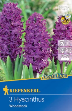 Blüte Und Blatt -Blüte Und Blatt 538070 Hyazinthe Woodstock 3 Stueck 500099 0