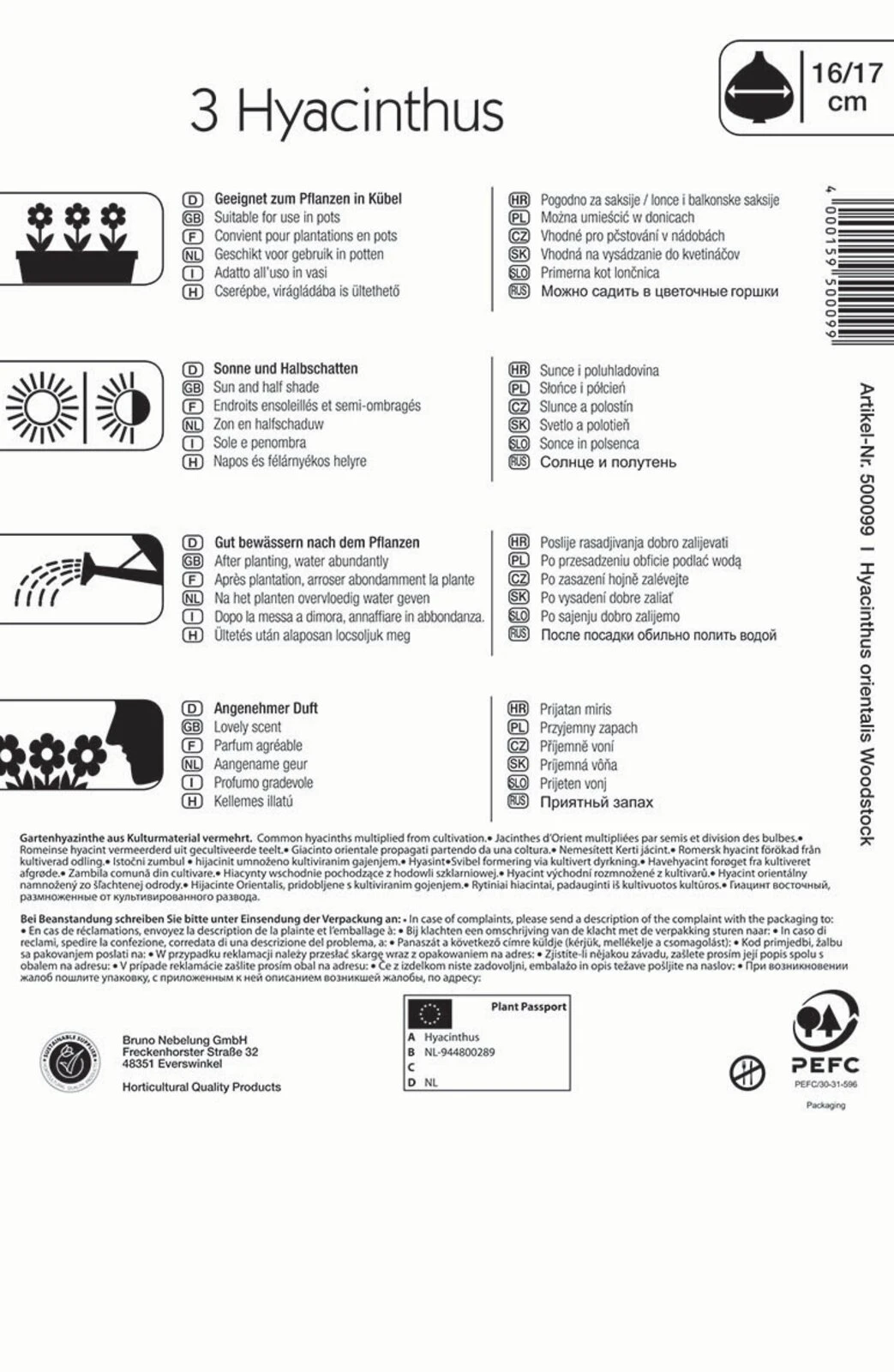 Hyazinthe Woodstock (3 Stück) | Hyazinthenzwiebeln Von Kiepenkerl 1 Hyazinthe Woodstock (3 Stück) | Hyazinthenzwiebeln Von Kiepenkerl
