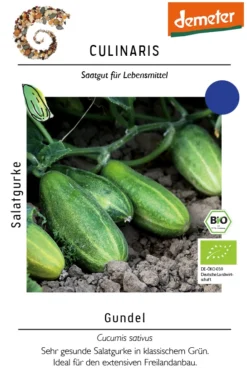 Salatgurke Gundel (GU-7632) | BIO Salatgurkensamen Von Culinaris