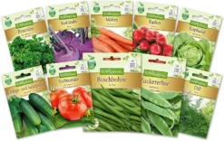 Bunter Gemüsegarten Gemüsesaatgut - Set (10 Stück) | Gemüsesamen-Sets Von N.L. Chrestensen