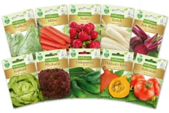 Gesunder Gemüsegarten Gemüsesaatgut - Set (10 Stück) | Gemüsesamen-Sets Von N.L. Chrestensen