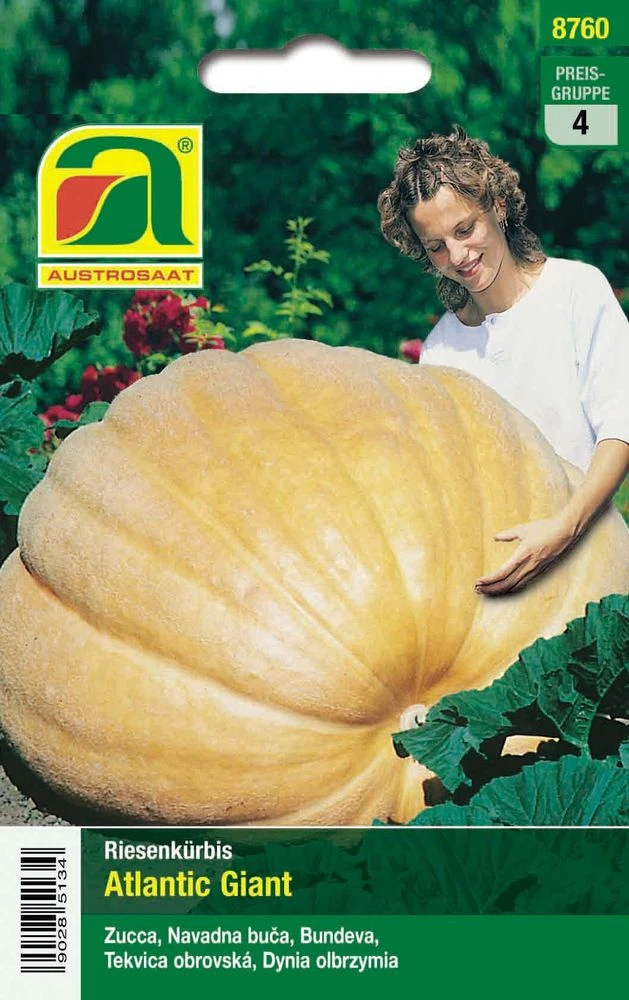 Riesenkürbis Atlantic Giant | Riesenkürbissamen Von Austrosaat 1 Riesenkürbis Atlantic Giant | Riesenkürbissamen Von Austrosaat