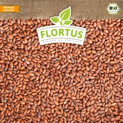 Bio-Kresse (200 G) | Bio-Kressesamen Von Flortus -Blüte Und Blatt 543636 Bio Kresse 200 g 4