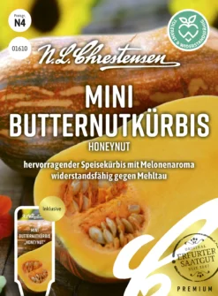 Blüte Und Blatt -Blüte Und Blatt 543727 Mini Butternutkuerbis Honeynut