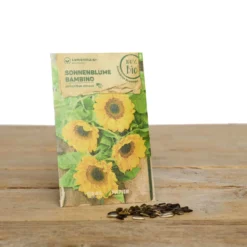 Blumen Set Bibi Balkonessa | BIO Blumensamen-Sets Von Samen Maier [MHD 12/2023] -Blüte Und Blatt 549604 BIO Blumen Set Bibi Balkonessa A03 sm 2