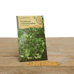 Wintergarten Set Humphrey Snowgart | BIO Gemüsesamen-Sets Von Samen Maier [MHD 12/2023] -Blüte Und Blatt 549606 BIO Wintergarten Set Humphrey Snowgart A05 sm 3