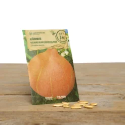 Bauerngarten Set Gitti Gartenschlau | BIO Gemüsesamen-Sets Von Samen Maier -Blüte Und Blatt 549608 BIO Bauerngarten Set Gitti Gartenschlau A07 sm 1