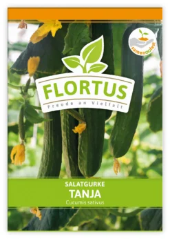 Salatgurke Tanja (100 Stück) | Salatgurkensamen Von FLORTUS -Blüte Und Blatt 549862 Salatgurke Tanja 100 Stueck 2000 0479 100x 1