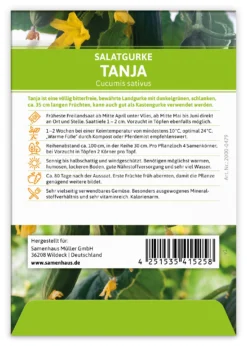 Salatgurke Tanja (100 Stück) | Salatgurkensamen Von FLORTUS