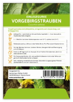 Einlegegurke Vorgebirgstrauben (100 Stück) | Einlegegurkensamen Von FLORTUS -Blüte Und Blatt 549867 Einlegegurke Vorgebirgstrauben 100 Stueck 2000 0484 100x 2