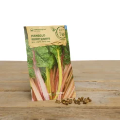 Gewächshaus Set Albert Pflanzfein | BIO Gemüsesamen-Sets Von Samen Maier -Blüte Und Blatt 550509 BIO Gewaechshaus Set Albert Pflanzfein A08 sm 1