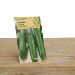 Gewächshaus Set Albert Pflanzfein | BIO Gemüsesamen-Sets Von Samen Maier -Blüte Und Blatt 550509 BIO Gewaechshaus Set Albert Pflanzfein A08 sm 4