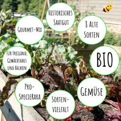 Gourmetgarten 8 Alte Sorten Set | BIO Gemüsesamen-Sets Von Biobalu -Blüte Und Blatt 550615 BIO Gourmetgarten 8 Alte Sorten Set BB1009 4