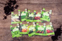 Gemüse Saatgut Archiv Holzbox (10 Tütchen + Register) | BIO Gemüsesamen-Sets Von FLORTUS -Blüte Und Blatt 551883 BIO Saatgut Archiv Holzbox 10 Tuetchen Register 2000 0564 2