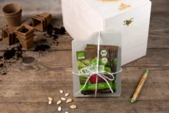 Gemüse Saatgut Archiv Holzbox (10 Tütchen + Register) | BIO Gemüsesamen-Sets Von FLORTUS -Blüte Und Blatt 551883 BIO Saatgut Archiv Holzbox 10 Tuetchen Register 2000 0564 3