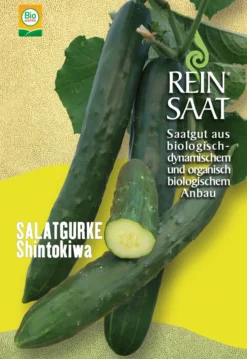 Freilandgurke Shintokiwa | BIO Freilandgurkensamen Von Reinsaat