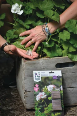 Dünger-Stäbchen (40 Stück) | Dünger Von Nelson Garden