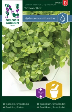 Basilikum Balkon Star | Basilikumsamen Von Nelson Garden