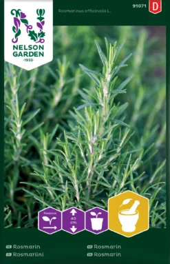 Rosmarin | Rosmarinsamen Von Nelson Garden