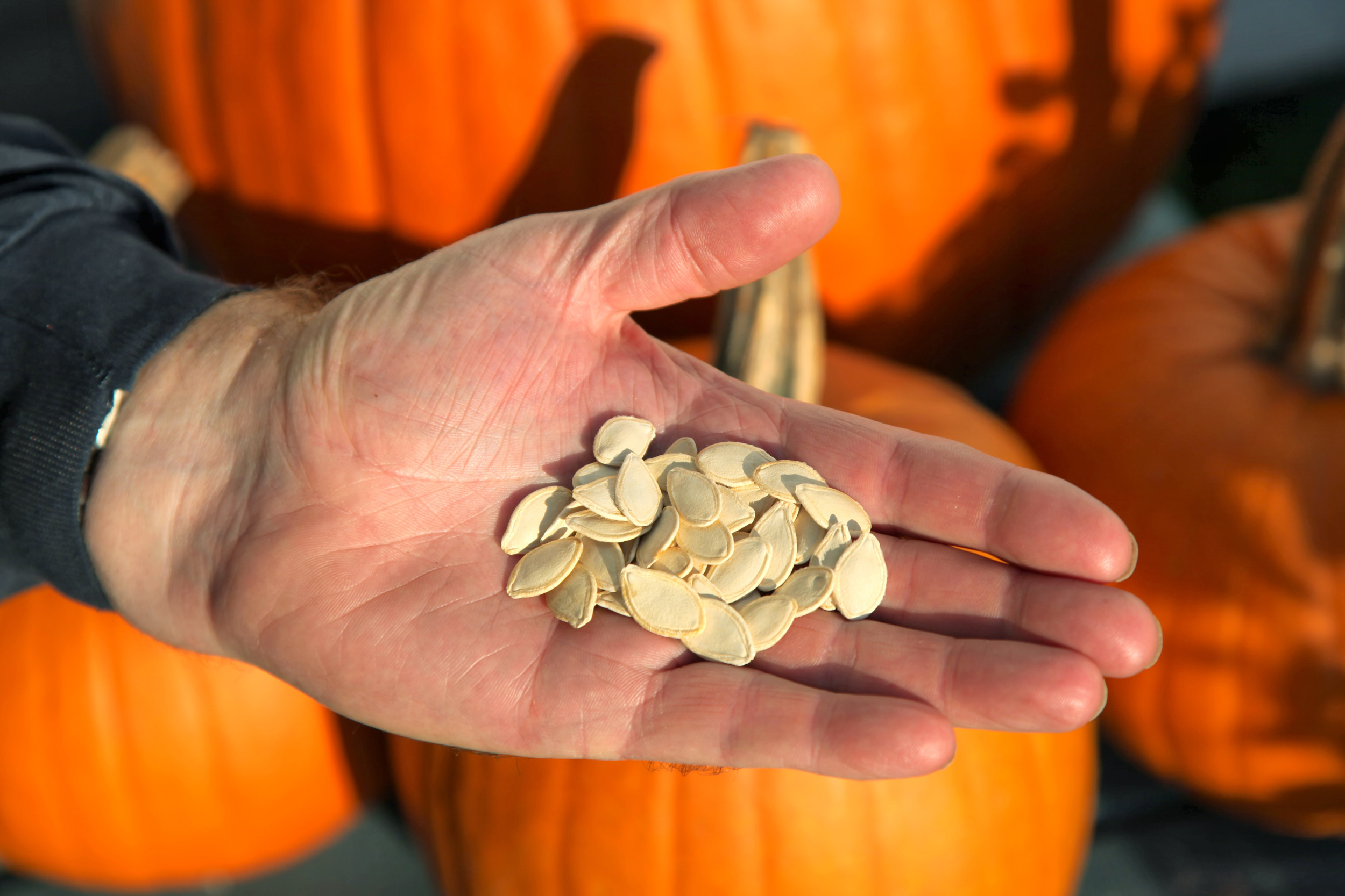 Blüte Und Blatt -Blüte Und Blatt 140681